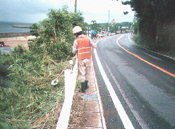 道路敷の草刈り状況の写真です。