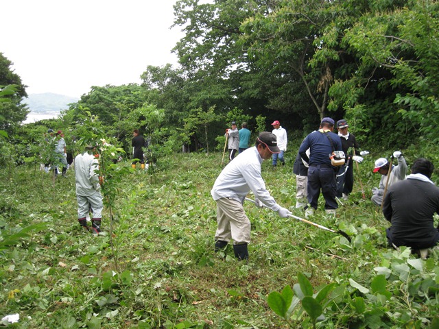 力を合わせて下草刈り