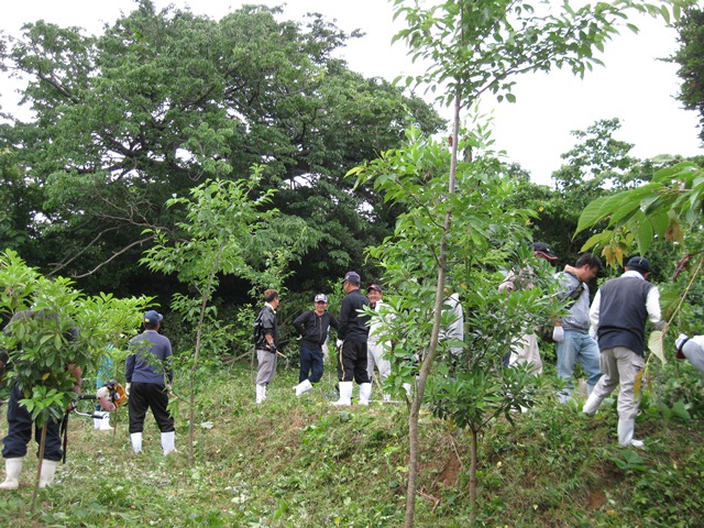 4年前に植えた木の成長に喜ぶ漁業者