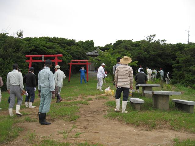 神社の周辺にも木を植えています