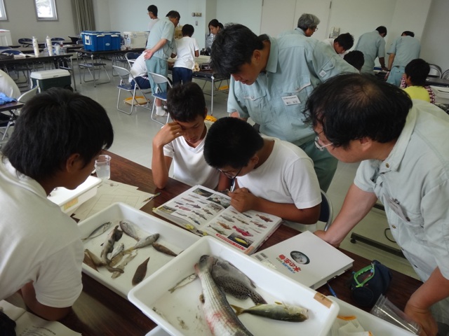 地元で獲れた魚の名前を調べる中学生