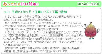 新設するコラムイメージ