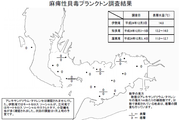 麻痺性貝毒原因プランクトン調査結果（平成24年12月3日） 