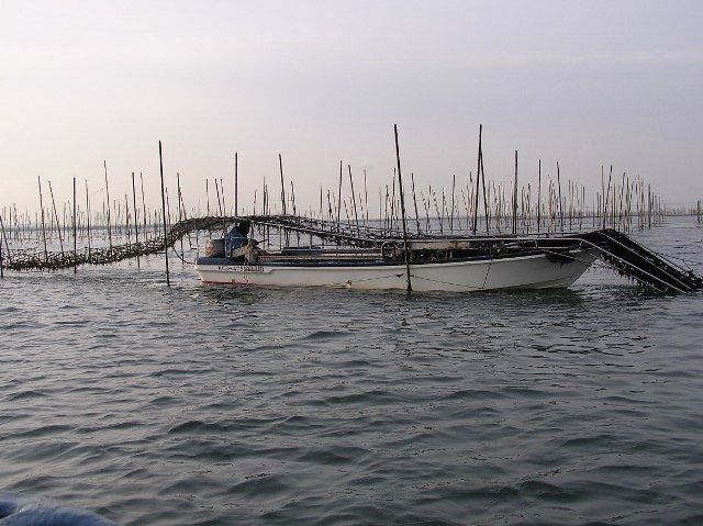 海苔 の 養殖