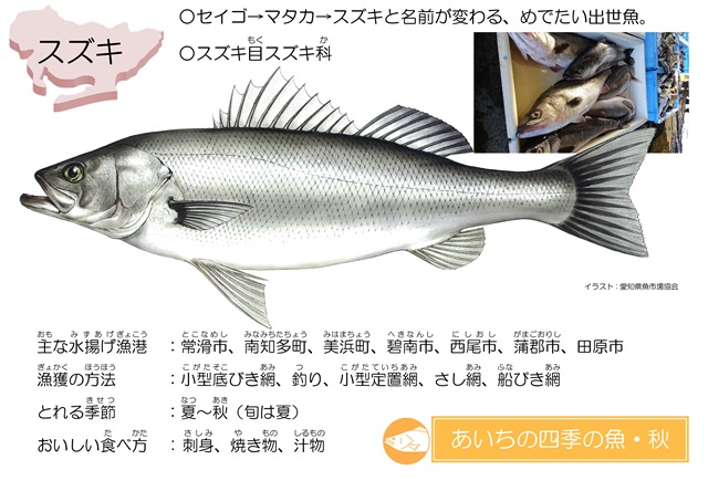 あいちの四季の魚 紹介ページ 愛知県