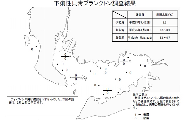 下痢性貝毒原因プランクトン調査結果（平成25年1月22日） 