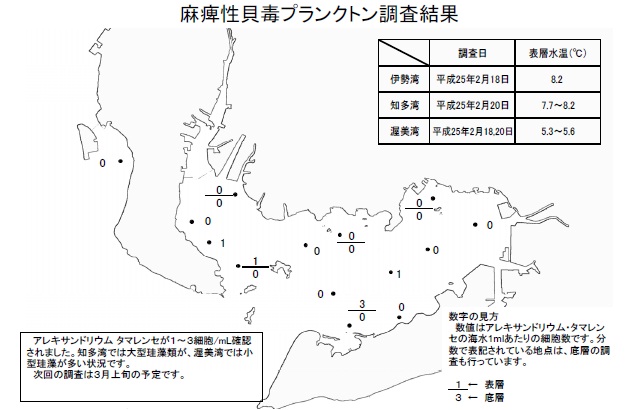 麻痺性貝毒原因プランクトン調査結果（平成25年2月20日） 