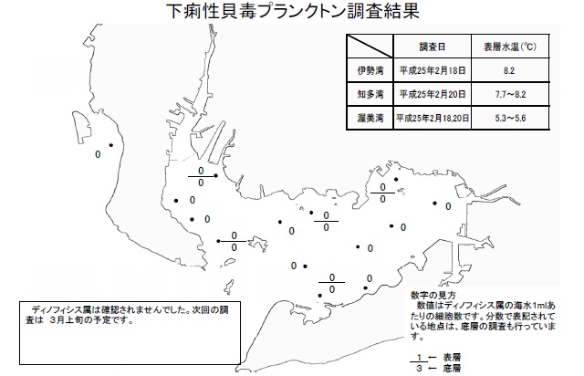 下痢性貝毒原因プランクトン調査結果（平成25年2月20日） 