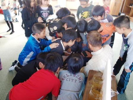 魚食の伝道師