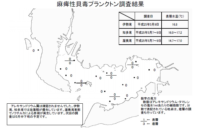 麻痺性貝毒原因プランクトン調査結果（平成25年5月9日）