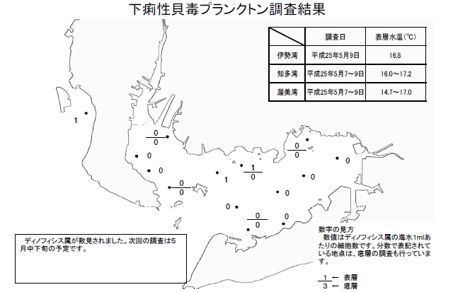 下痢性貝毒原因プランクトン調査結果（平成25年5月9日） 