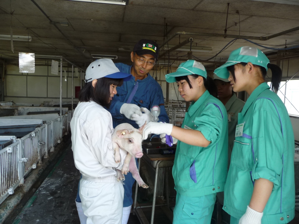 平成25年度 緑の学園研修 1泊2日農業体験学習 終了しました 愛知県