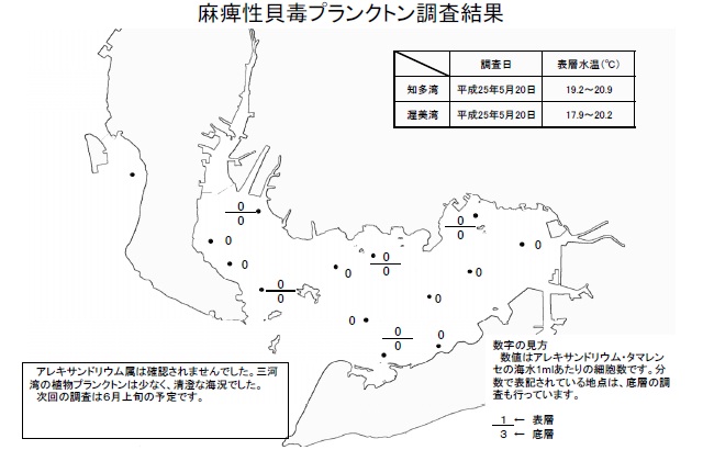 麻痺性貝毒原因プランクトン調査結果（平成25年5月20日）