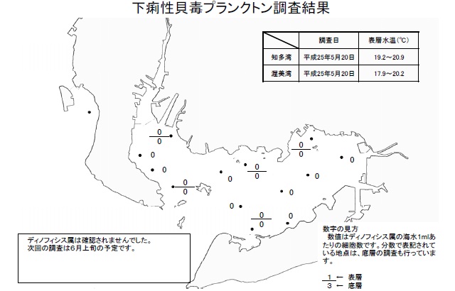 下痢性貝毒原因プランクトン調査結果（平成25年5月20日） 