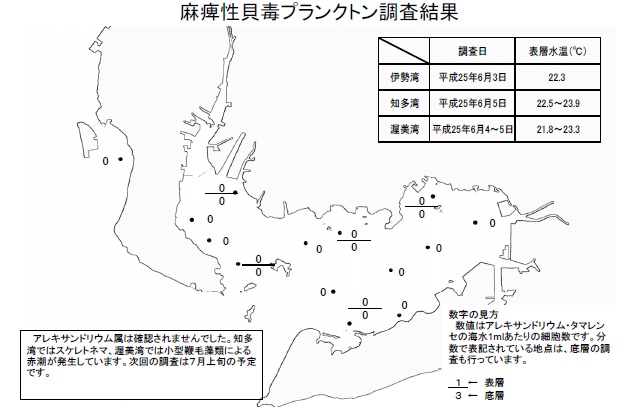 麻痺性貝毒原因プランクトン調査結果（平成25年6月5日）