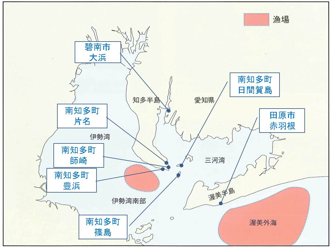 シラス あいちの四季の魚 夏 愛知県