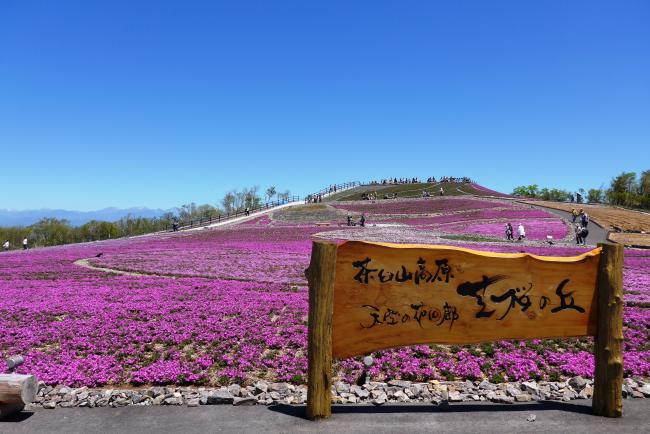 芝桜の丘