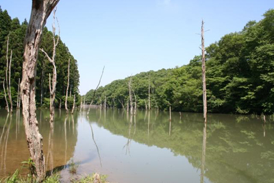 海上砂防池