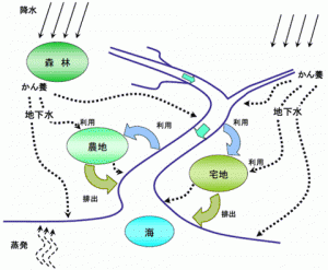 降水から森林、農地、河川を通って海までの水の流れ