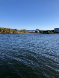 風に波立つ豊川の水面