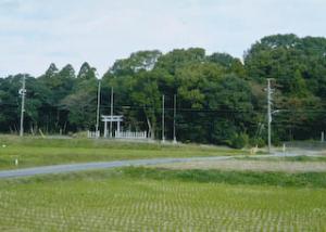 吉川熊野神社と鎮守の森