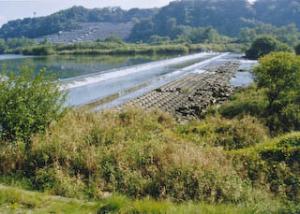 庄内川八ヶ村用水堰