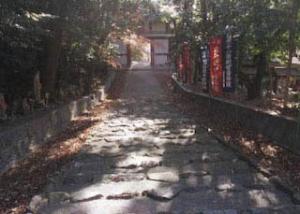 円福寺参道