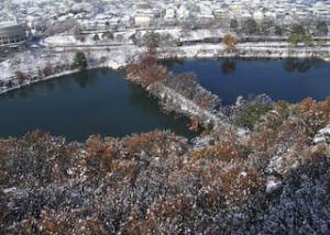雪の新池公園