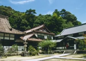 雲興寺とその周辺のシイ・カシ林