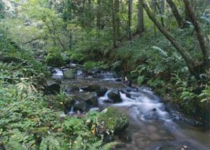 上半田川町蛇ヶ洞川上流