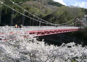 桜淵公園