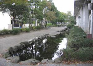 緑陰歩道（西町、若宮町）