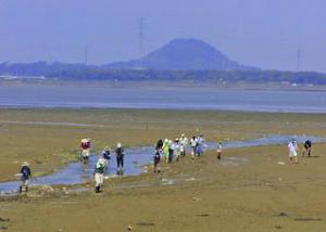 大潮の汐川干潟と笠山の景観