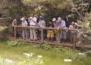 壱町田湿地