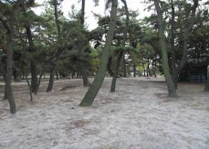 大浜熊野大神社