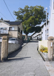 小学校の裏門