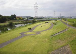 憩いの空間：境川緑地