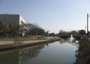 筏川桜緑地と社会教育センター