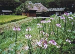 千万町茅葺屋敷