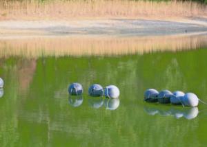 森林公園の大道平池の浮玉