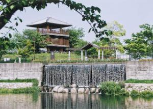 佐屋川創郷公園の夏