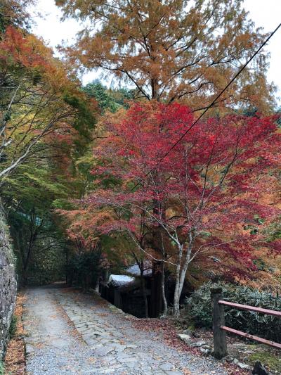 鳳来寺山東照宮付近の紅葉