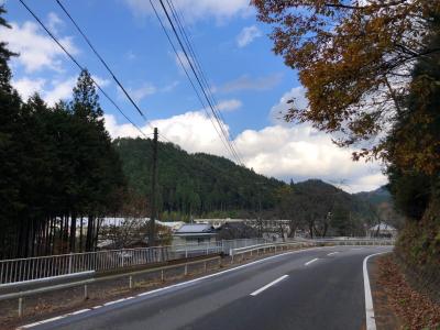 設楽町津具の針葉樹林