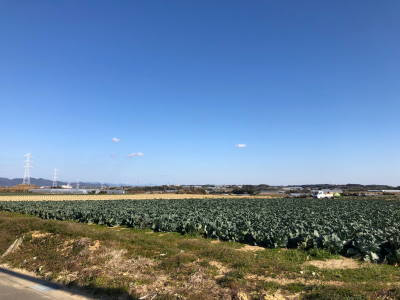 天伯原、高師原を望む