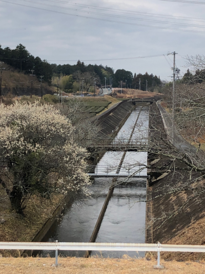 「牟呂用水」（新城市一鍬田）