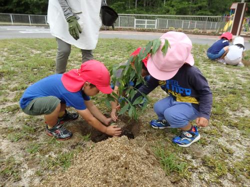 児童の皆さんの植樹の様子