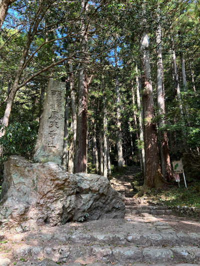 鳳来寺参道の石段