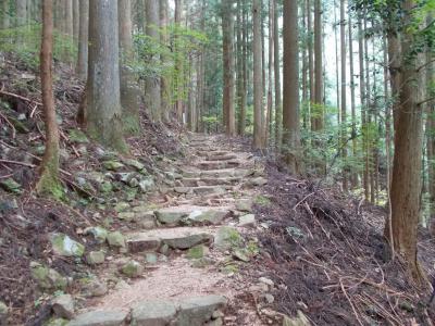 堤石峠までの登り