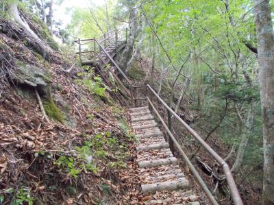 木でできた登山道