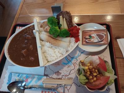 したらダムカレー（芳水）